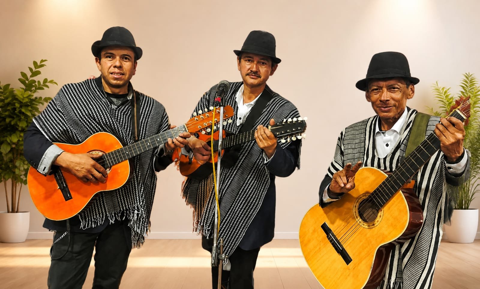 Grupo de Carranga en Bogota